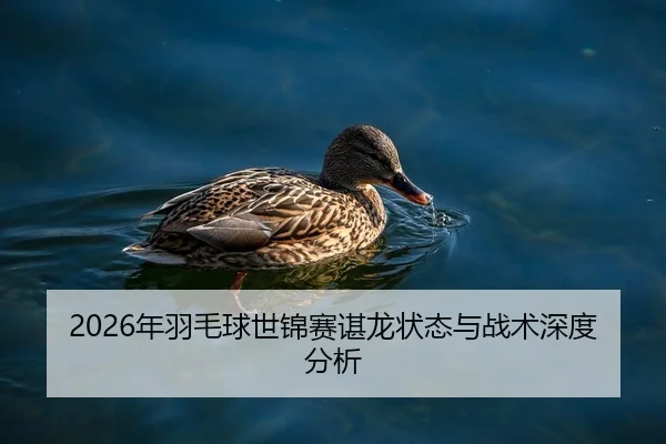 2026年羽毛球世锦赛谌龙状态与战术深度分析