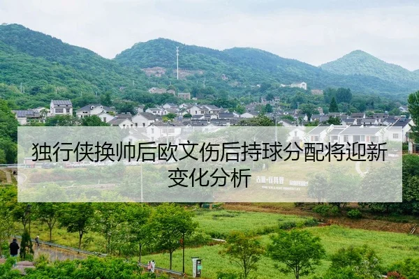 独行侠换帅后欧文伤后持球分配将迎新变化分析