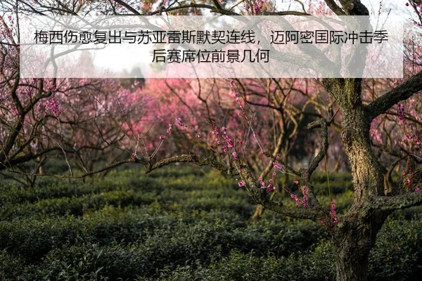 梅西伤愈复出与苏亚雷斯默契连线，迈阿密国际冲击季后赛席位前景几何