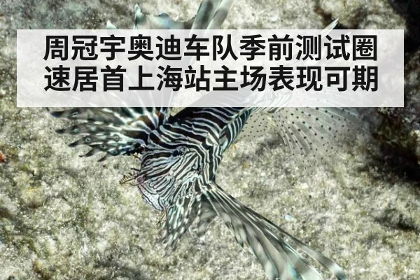 周冠宇奥迪车队季前测试圈速居首上海站主场表现可期